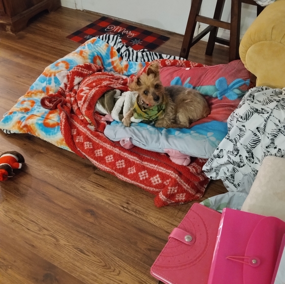 Meet your Posher, Kate grace - Picture 5 of 12